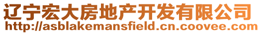 遼寧宏大房地產(chǎn)開(kāi)發(fā)有限公司