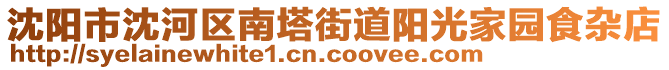 沈陽市沈河區(qū)南塔街道陽光家園食雜店