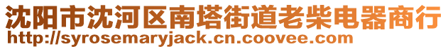 沈陽市沈河區(qū)南塔街道老柴電器商行