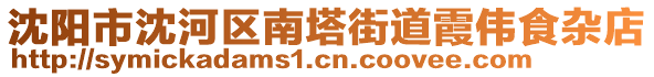 沈陽市沈河區(qū)南塔街道霞偉食雜店