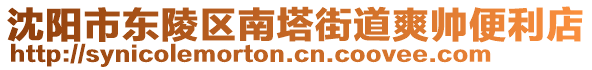 沈陽市東陵區(qū)南塔街道爽帥便利店