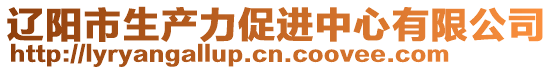 遼陽(yáng)市生產(chǎn)力促進(jìn)中心有限公司