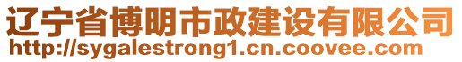 遼寧省博明市政建設(shè)有限公司