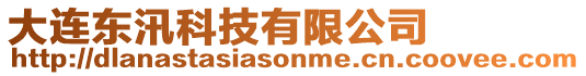 大連東汛科技有限公司