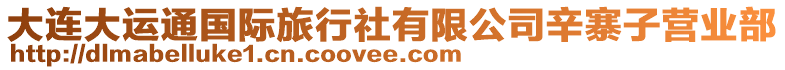 大連大運通國際旅行社有限公司辛寨子營業部