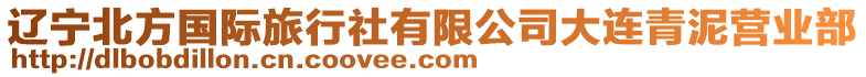 遼寧北方國際旅行社有限公司大連青泥營業部