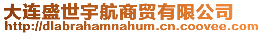 大連盛世宇航商貿(mào)有限公司