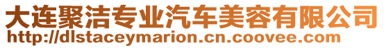 大連聚潔專業(yè)汽車美容有限公司