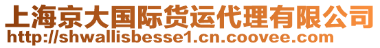 上海京大國際貨運(yùn)代理有限公司