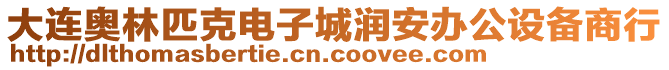 大連奧林匹克電子城潤(rùn)安辦公設(shè)備商行