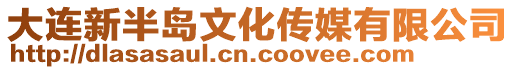 大連新半島文化傳媒有限公司