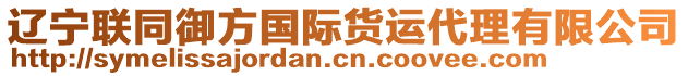 遼寧聯(lián)同御方國(guó)際貨運(yùn)代理有限公司