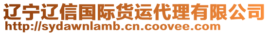 遼寧遼信國際貨運(yùn)代理有限公司