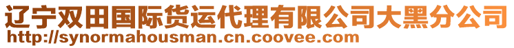 遼寧雙田國際貨運(yùn)代理有限公司大黑分公司