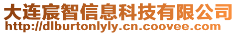 大連宸智信息科技有限公司