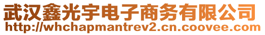 武漢鑫光宇電子商務(wù)有限公司