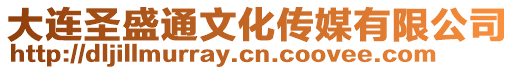 大連圣盛通文化傳媒有限公司