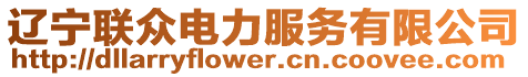 遼寧聯眾電力服務有限公司