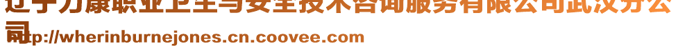 遼寧力康職業(yè)衛(wèi)生與安全技術(shù)咨詢服務(wù)有限公司武漢分公
司