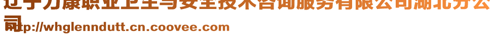 遼寧力康職業(yè)衛(wèi)生與安全技術(shù)咨詢服務(wù)有限公司湖北分公
司