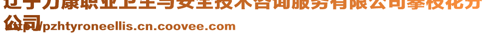 遼寧力康職業(yè)衛(wèi)生與安全技術(shù)咨詢服務(wù)有限公司攀枝花分
公司