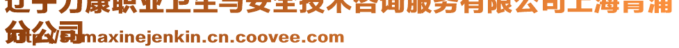 遼寧力康職業(yè)衛(wèi)生與安全技術(shù)咨詢服務(wù)有限公司上海青浦
分公司