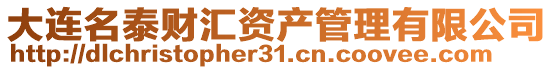 大連名泰財匯資產管理有限公司