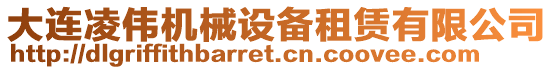 大連凌偉機(jī)械設(shè)備租賃有限公司