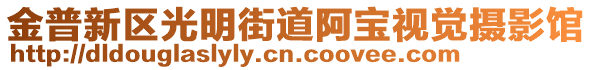 金普新區(qū)光明街道阿寶視覺(jué)攝影館