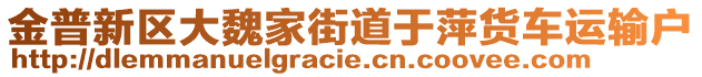 金普新區(qū)大魏家街道于萍貨車運(yùn)輸戶