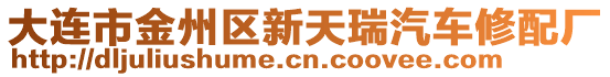 大連市金州區(qū)新天瑞汽車修配廠