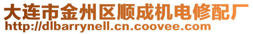 大連市金州區(qū)順成機電修配廠