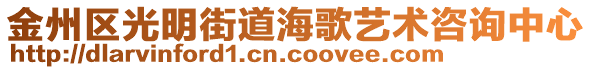 金州區(qū)光明街道海歌藝術咨詢中心