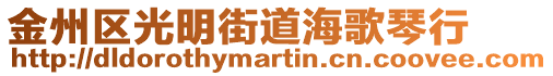 金州區光明街道海歌琴行