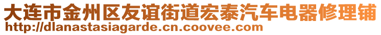 大連市金州區(qū)友誼街道宏泰汽車電器修理鋪
