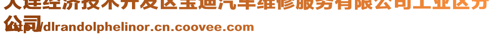 大連經(jīng)濟技術(shù)開發(fā)區(qū)寶迪汽車維修服務(wù)有限公司工業(yè)區(qū)分
公司