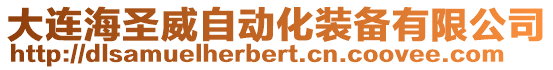 大連海圣威自動(dòng)化裝備有限公司