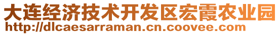 大連經(jīng)濟(jì)技術(shù)開發(fā)區(qū)宏霞農(nóng)業(yè)園