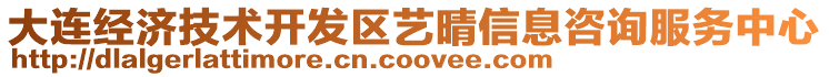 大連經(jīng)濟(jì)技術(shù)開(kāi)發(fā)區(qū)藝晴信息咨詢服務(wù)中心