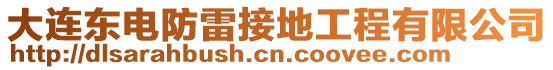 大連東電防雷接地工程有限公司