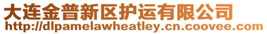 大連金普新區(qū)護(hù)運(yùn)有限公司