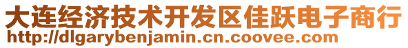 大連經濟技術開發(fā)區(qū)佳躍電子商行