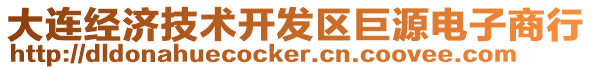 大連經濟技術開發(fā)區(qū)巨源電子商行