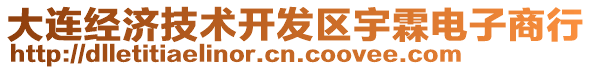 大連經濟技術開發區宇霖電子商行