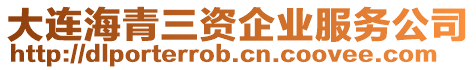 大連海青三資企業服務公司