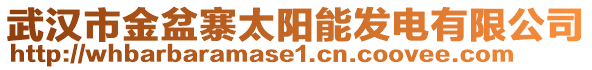 武漢市金盆寨太陽能發(fā)電有限公司