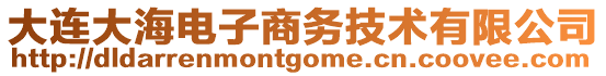 大連大海電子商務(wù)技術(shù)有限公司