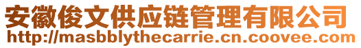 安徽俊文供應(yīng)鏈管理有限公司