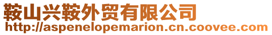 鞍山興鞍外貿有限公司
