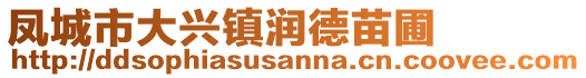 鳳城市大興鎮(zhèn)潤德苗圃